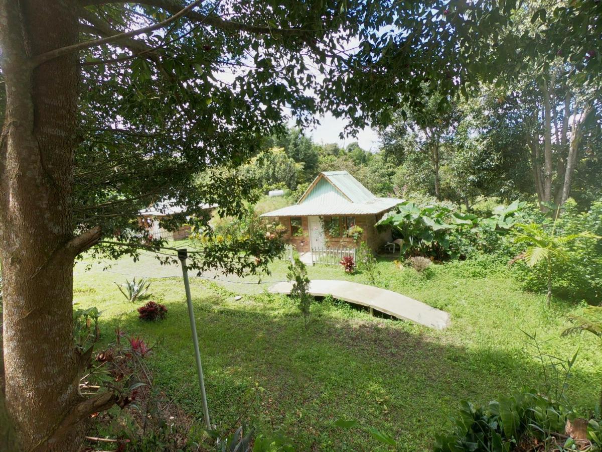 Tribu Ecohostal Los Santos  Esterno foto