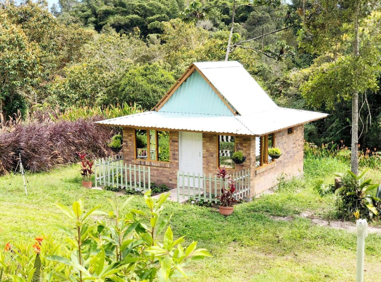 Tribu Ecohostal Los Santos  Esterno foto